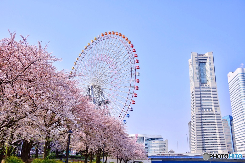 ４月のみなとみらい
