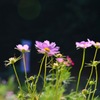 IMG_8573