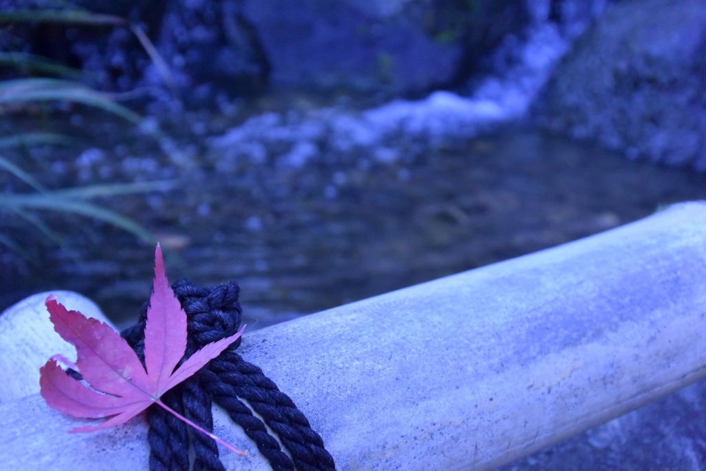 和の心