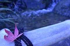 和の心