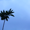 空に向かって。