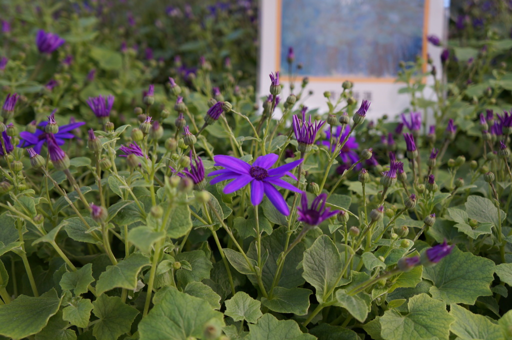 三陽メディアフラワーミュージアム