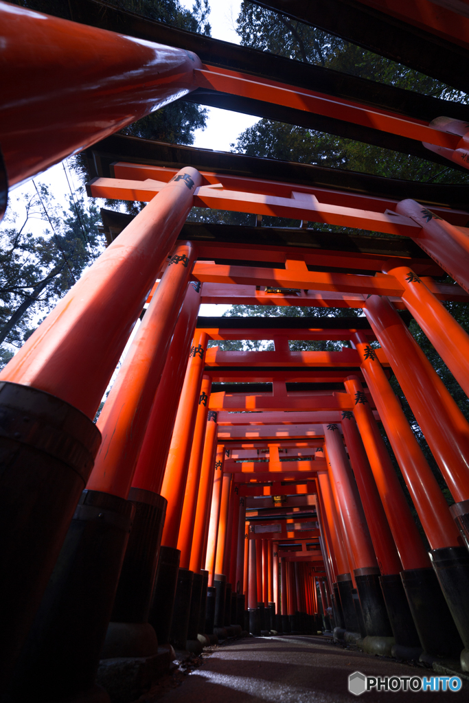 千本鳥居