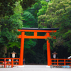 下賀茂神社②