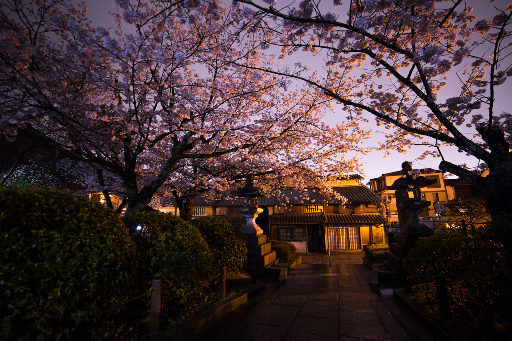 法観寺の夜桜