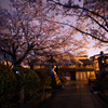 法観寺の夜桜