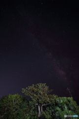 石垣島の星景