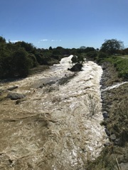 荒ぶる越辺川