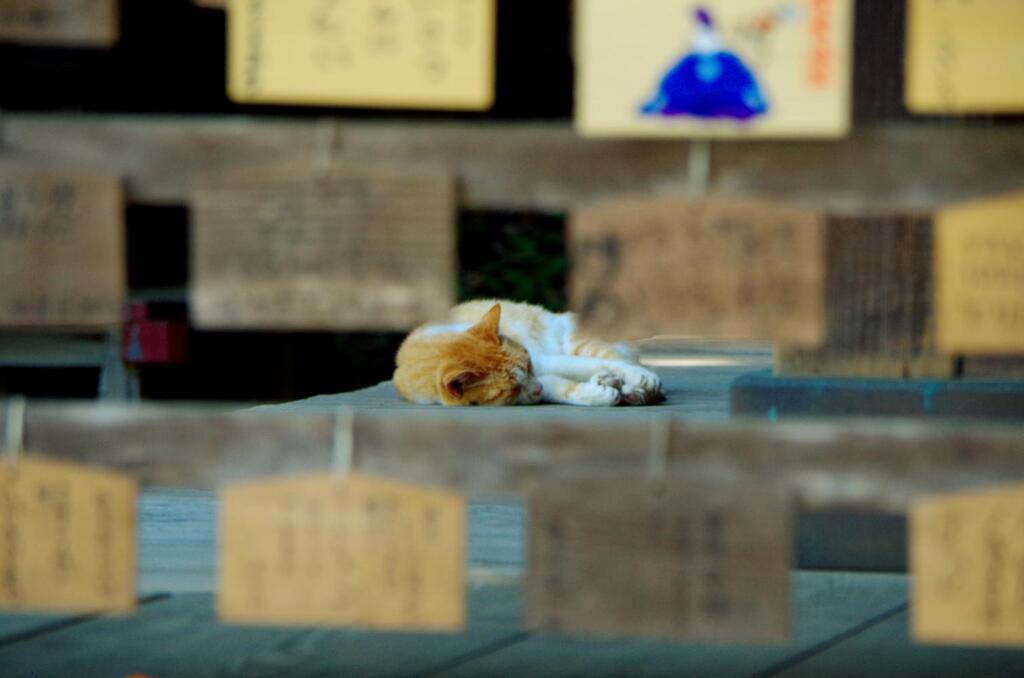 神社寝子