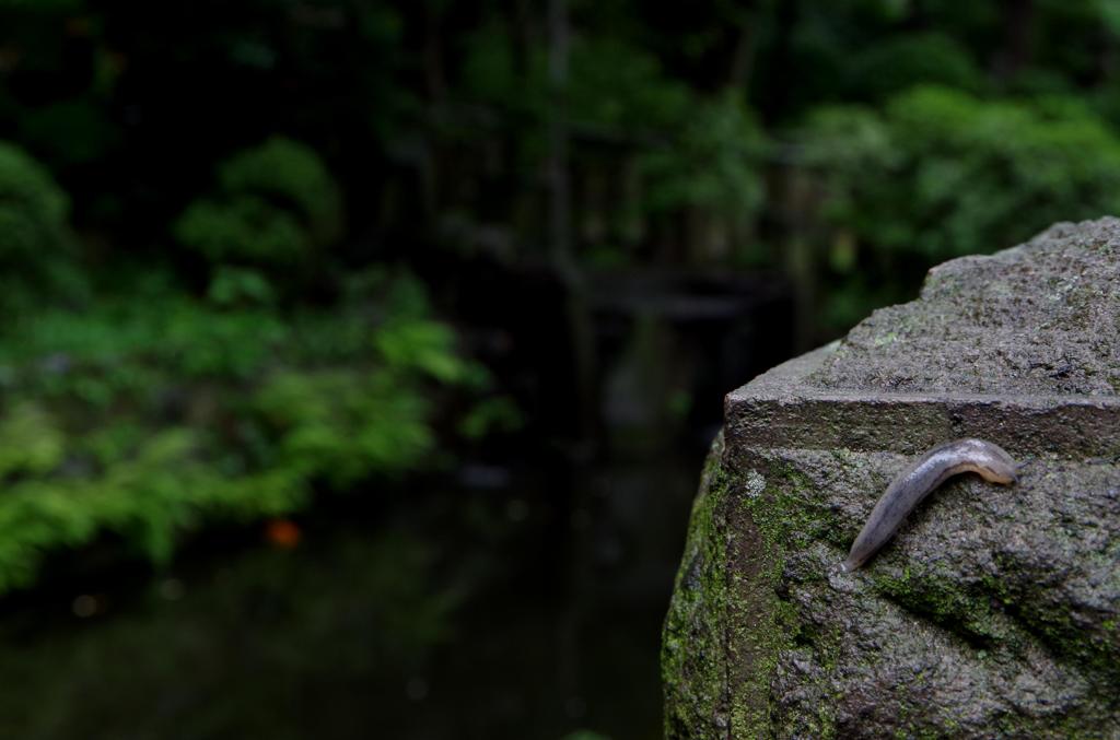 根津神社