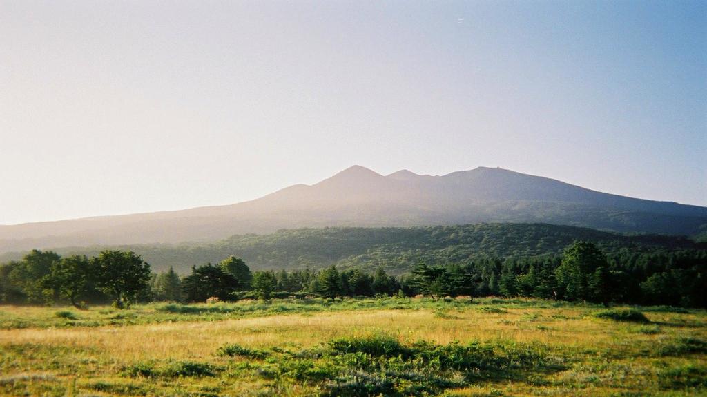 写ルンです