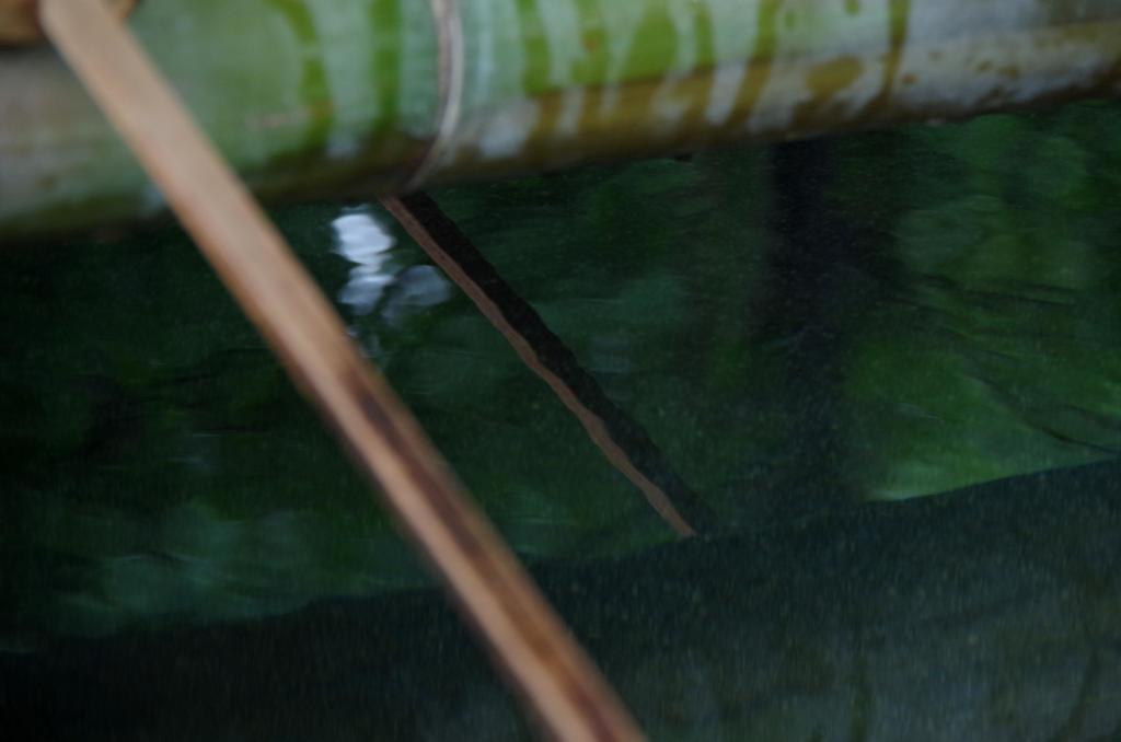 根津神社