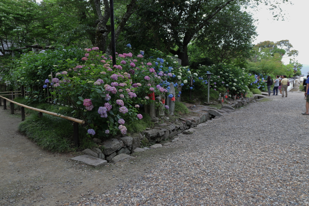 IMG_2182 矢田寺その8