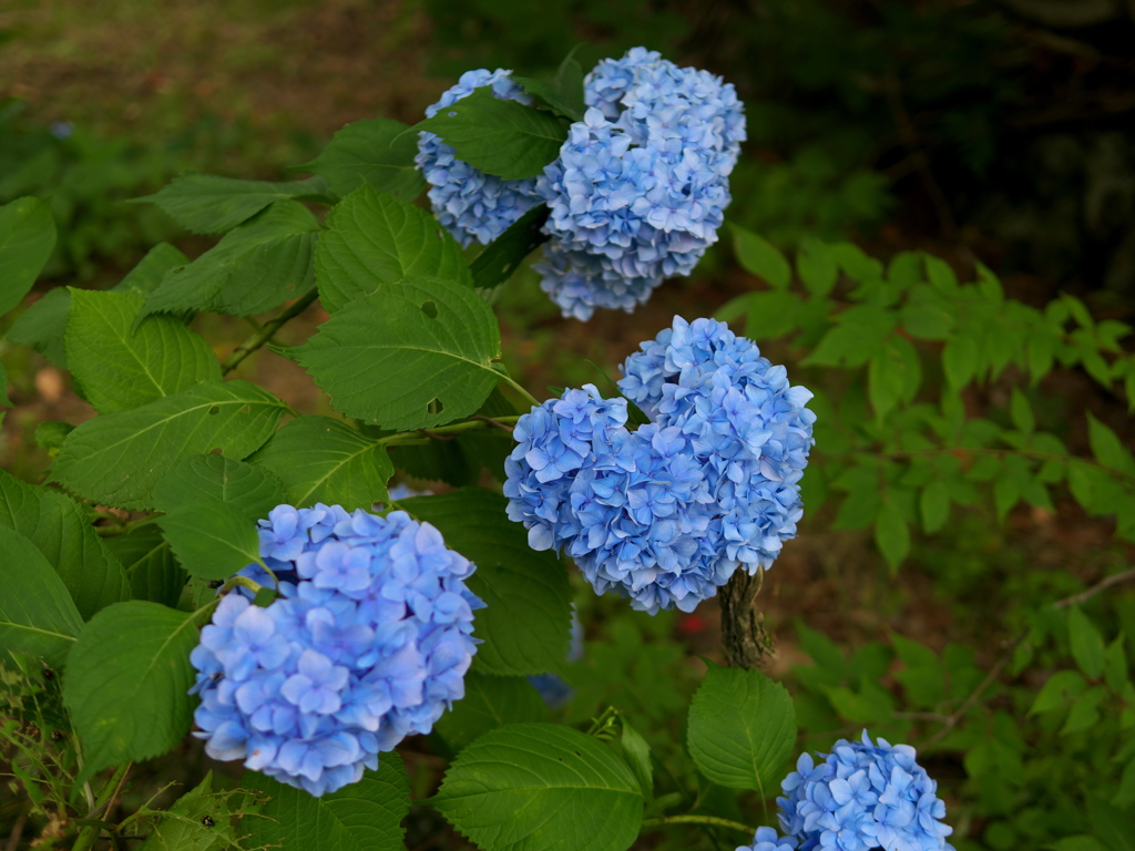 P1050150