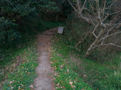 P1080955　根川山その3