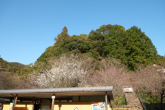 P1020349　道の駅「天竜相津　花桃の里」より