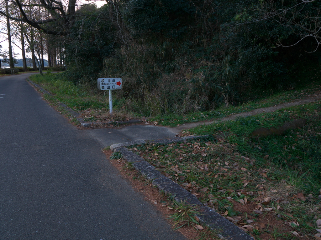 P1080952　根川山その2