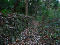 P1080981　宇津山城跡その2