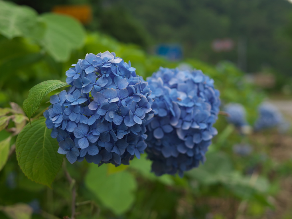 P1050144