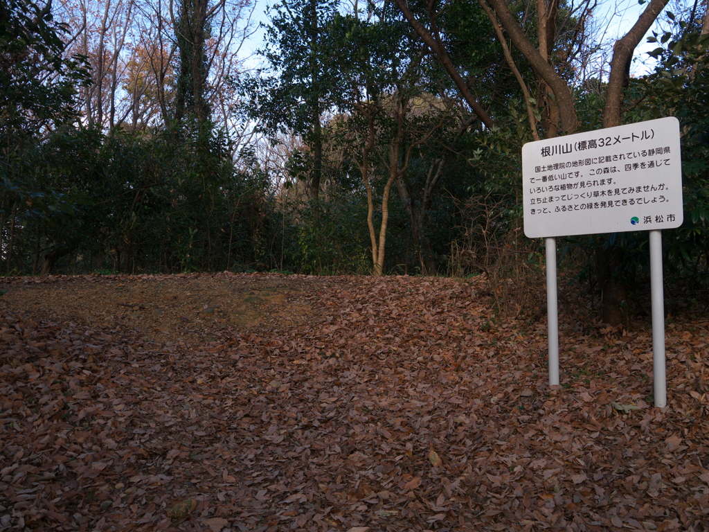 P1080960　根川山その4