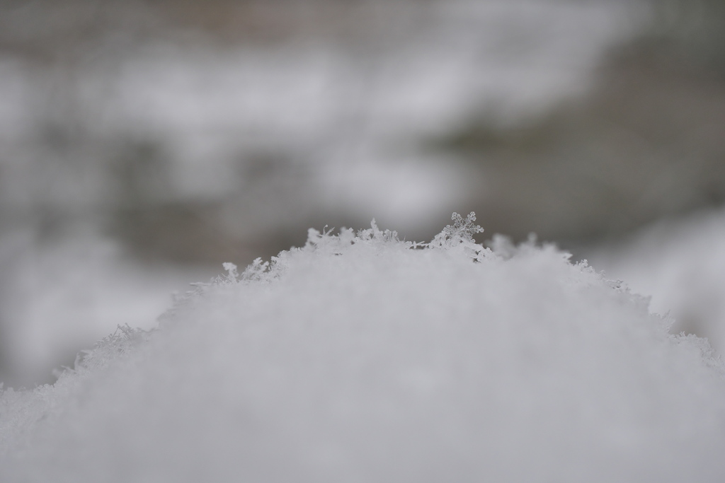 P1030073　雪の結晶その1