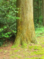 P1100021　DMC-GX7MK2デビューその7