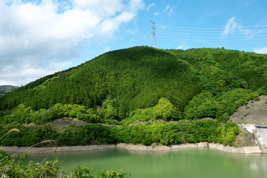 P1030352　太田川ダムその2