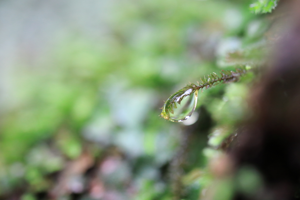 IMG_1760 笠山その6