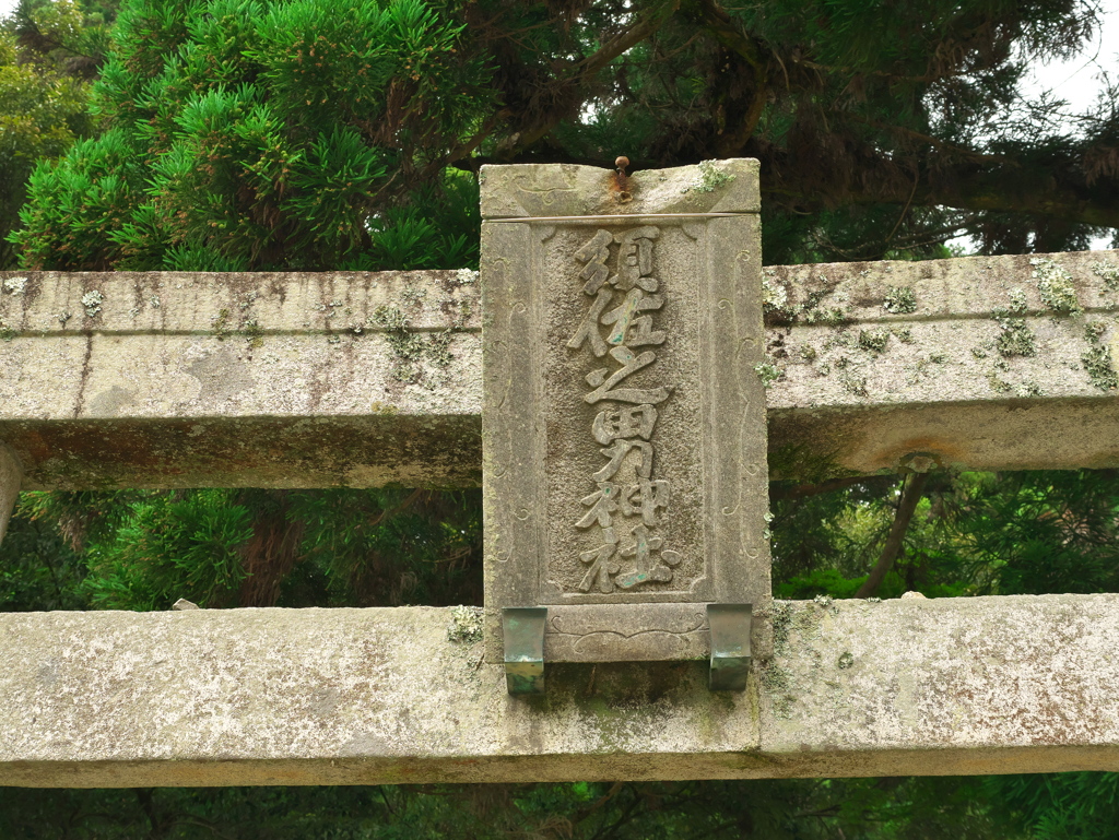 P1100015　DMC-GX7MK2デビューその5