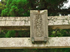 P1100015　DMC-GX7MK2デビューその5