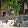 P1020860　美浜ナチュラル村その9