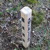 CIMG8364　西山その11
