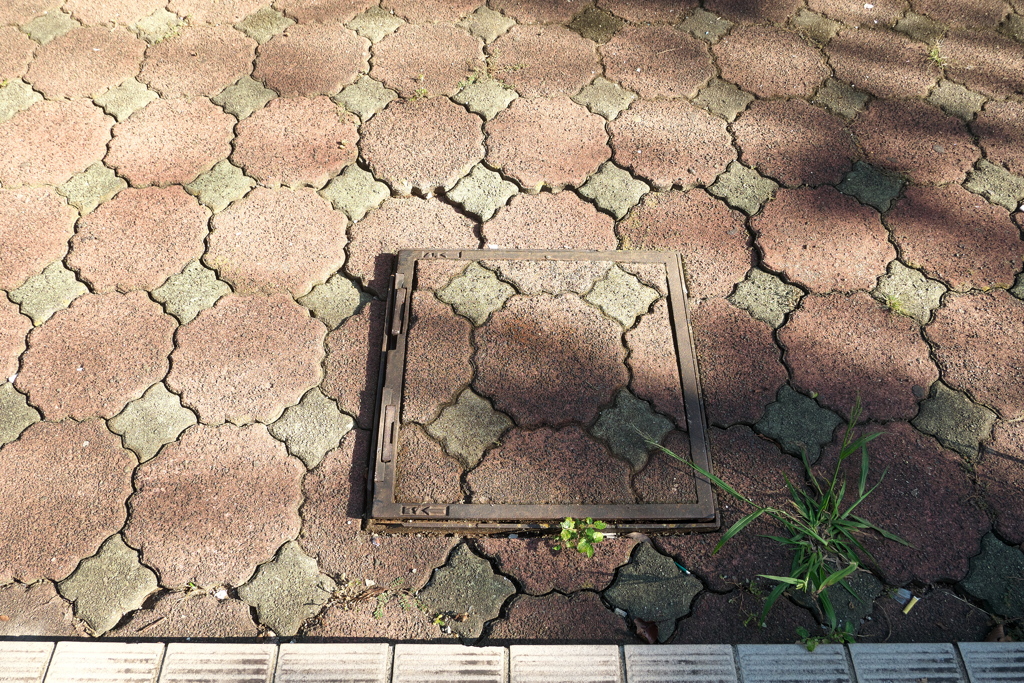 P1020791　八ツ面山公園展望台下