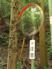 P1100007　DMC-GX7MK2デビューその2