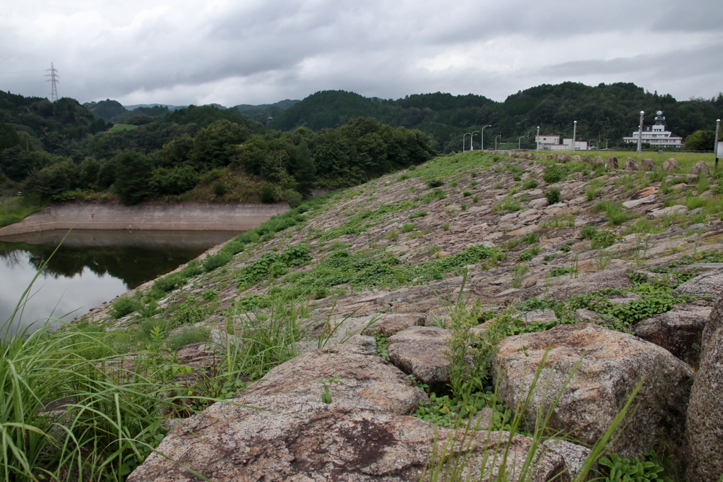 IMG_1489　布目ダムその10