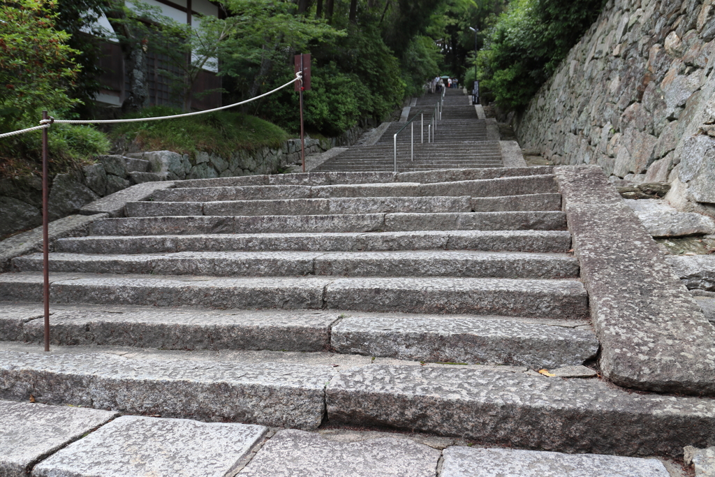 IMG_2164 矢田寺その2