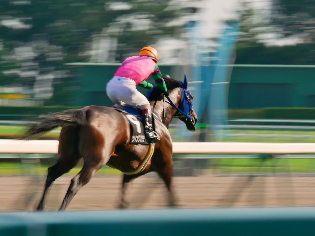 P1100104　4Kフォトで中京競馬場その4