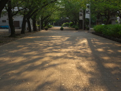 P8140016