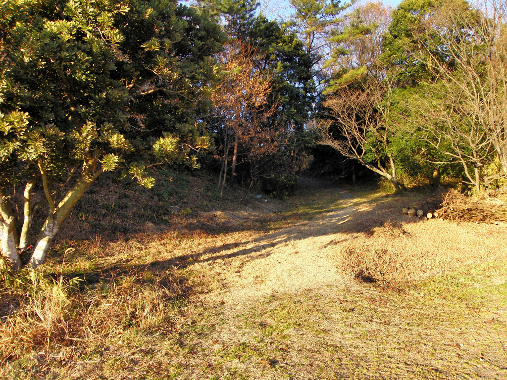 CIMG8333   西山その3