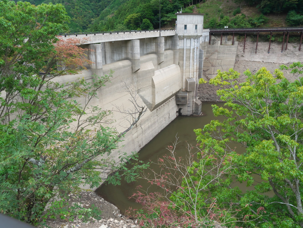 P1100463　野洲川ダムその1
