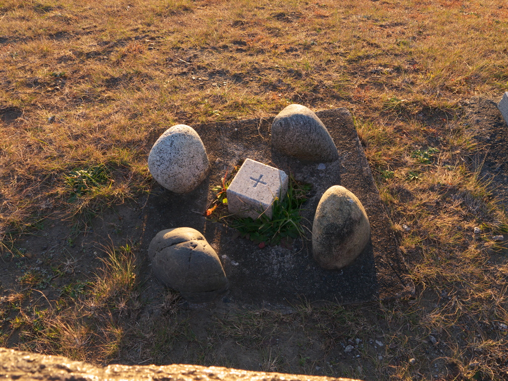 P1080916　竜洋富士その7