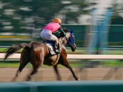 P1100103　4Kフォトで中京競馬場その3