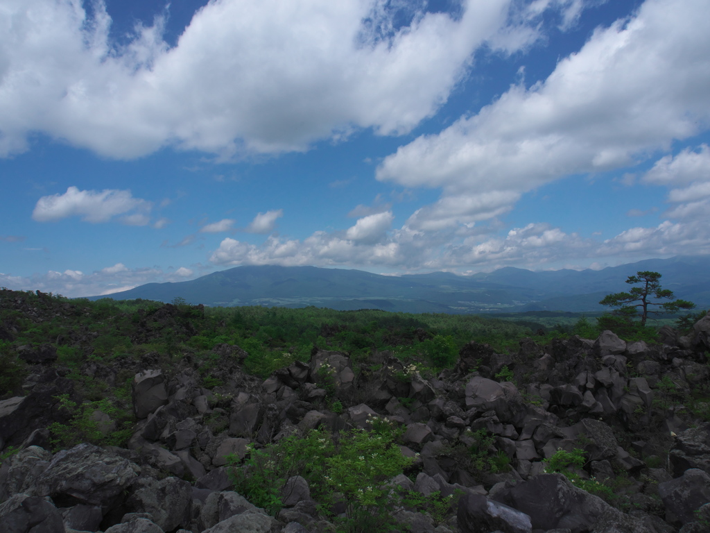 P7180149　鬼押出し園その4