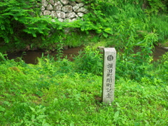 P1100028　DMC-GX7MK2デビューその10