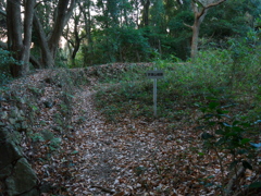 P1080979　宇津山城跡その1