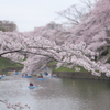 Spring has just come! (Daytime view)