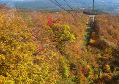 ゴンドラから紅葉