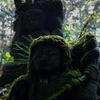 苔がむす