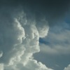 仁王雲