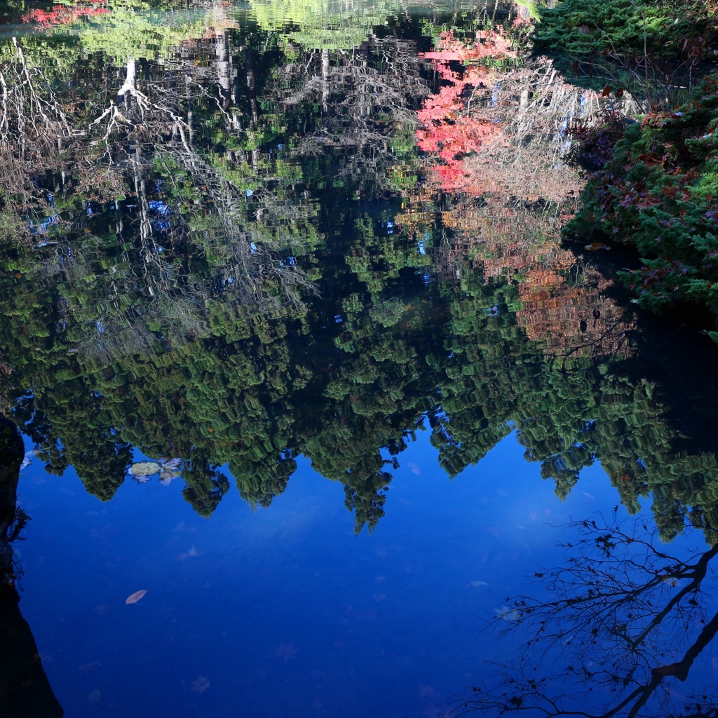 水面鏡